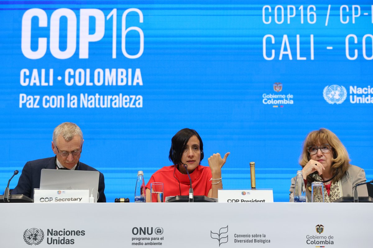 Earth Negotiations Bulletin tweet media