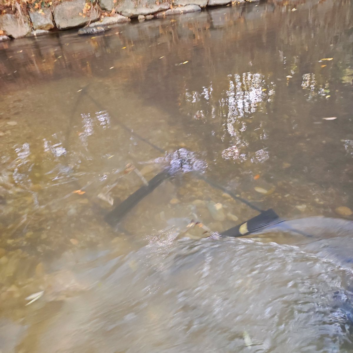 CDL MERI tweet media