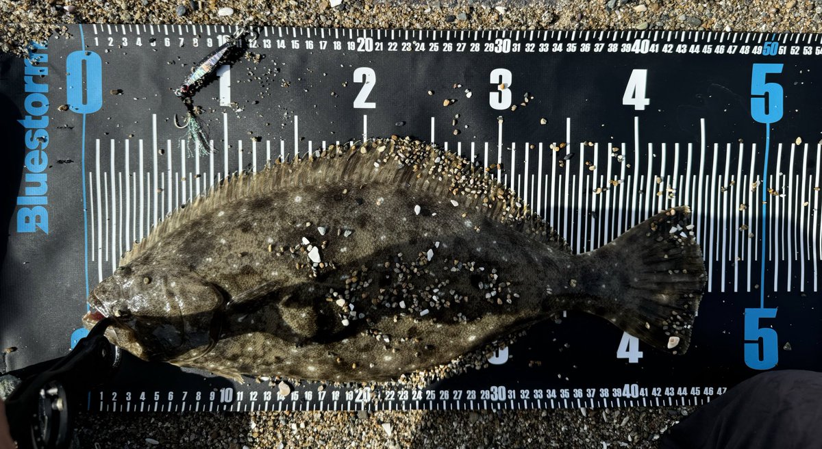 本格シーズン突入間近！？

#いわきサーフ
#磐城サーフ
#常磐サーフ
#福島サーフ
#仙南サーフ
#仙台サーフ