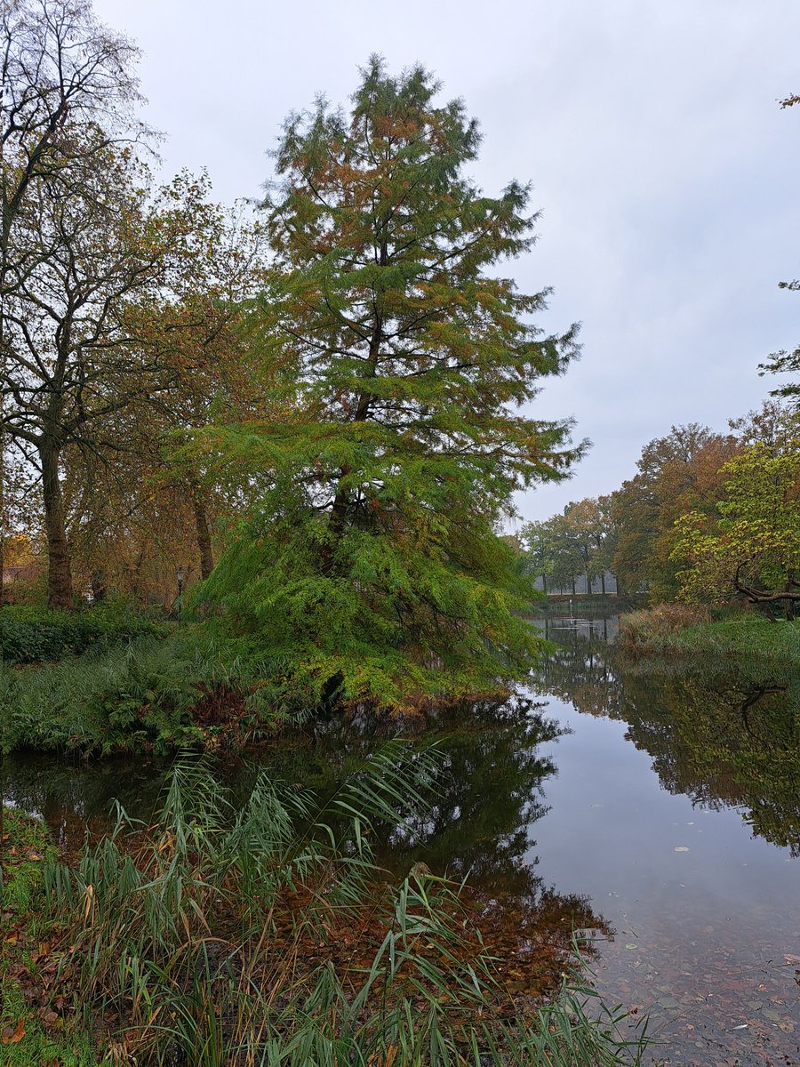 Kees Jan de Vet tweet media