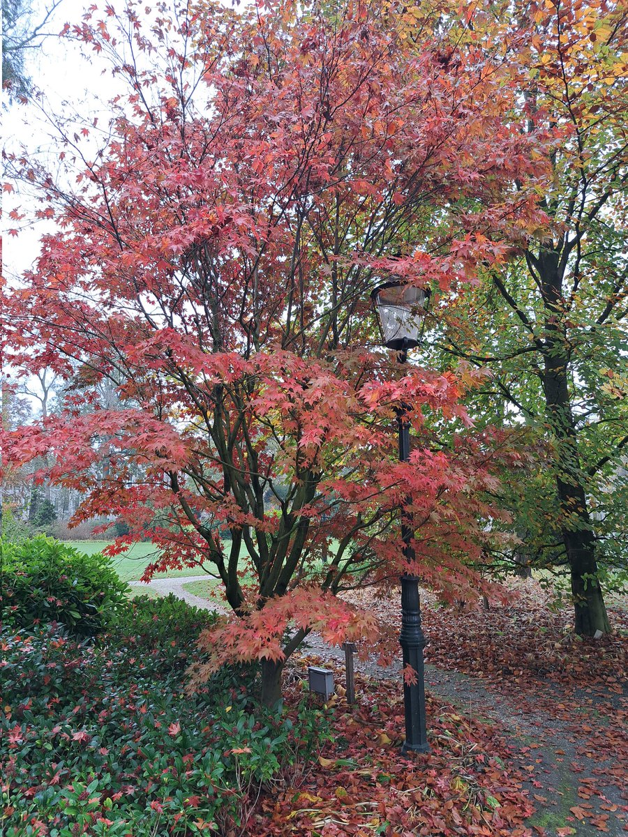 Kees Jan de Vet tweet media