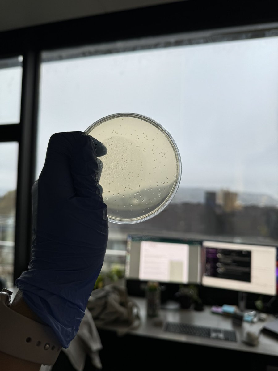 Sandhya Manohar tweet media