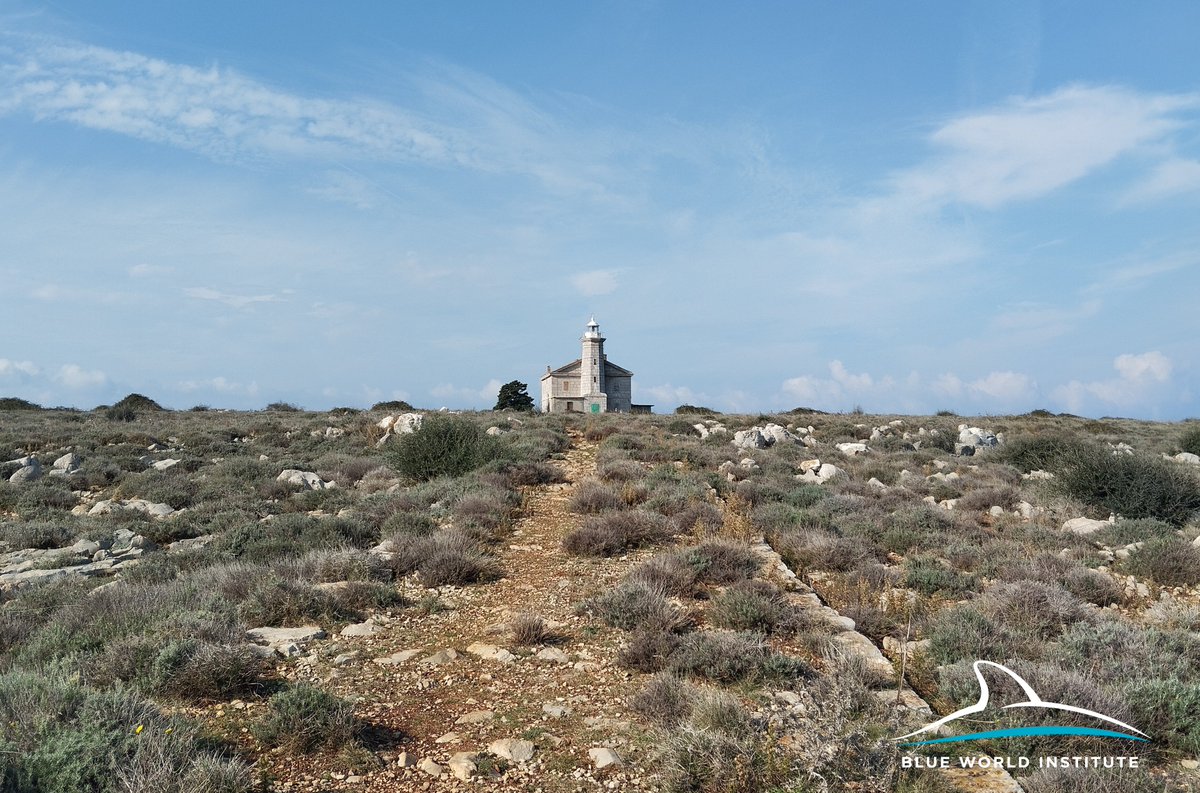 Blue World Institute tweet media