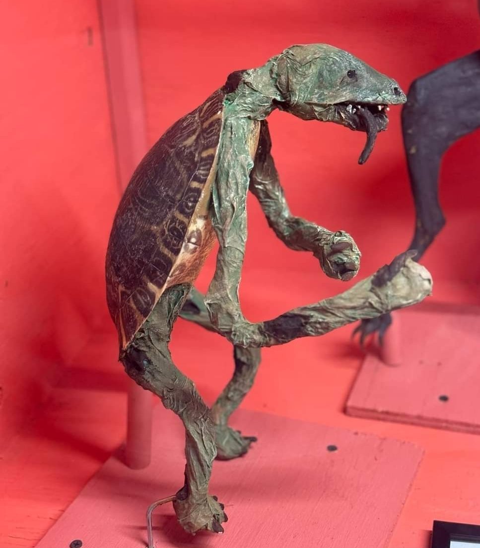 I'm not sure what my spirit animal is, but I'm
confident it has rabies.