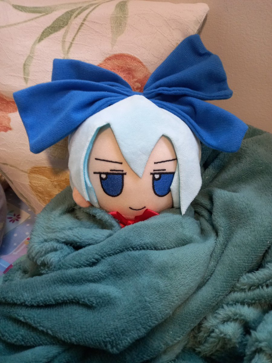 Cirnitto's tweet photo. Confortable baka https://t.co/iWM3RXdVxR