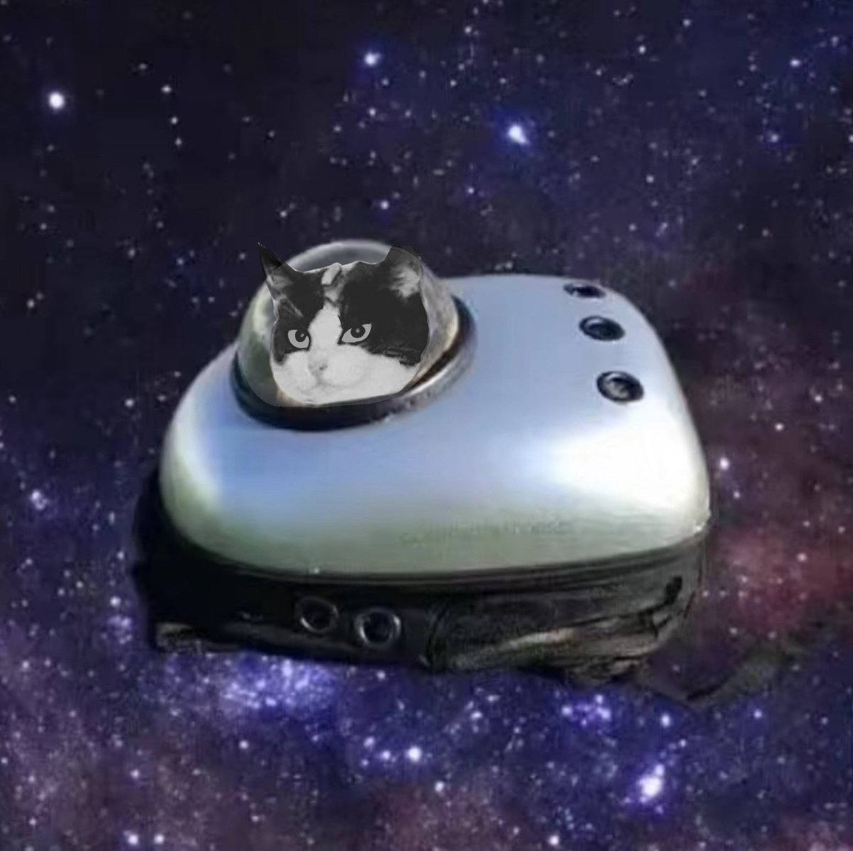 SCAT_Scroll's tweet image. You must have seen me somewhere 

$SCAT