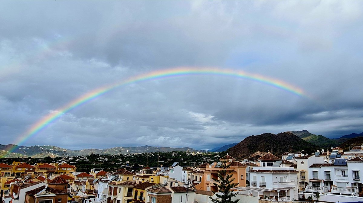 LazaroNines's tweet photo. 🌈 https://t.co/zzSz6wiZ52
