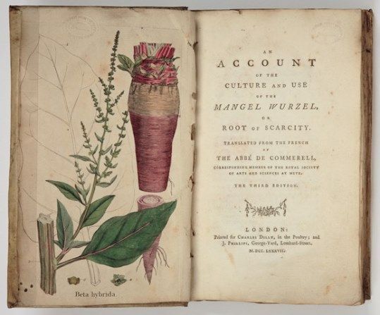 Layton Collection tweet media