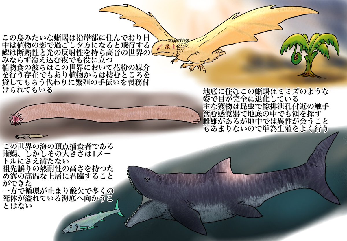 Specuevo's tweet photo. #思弁生物ビッグポスト #Futureevolution #未来進化
6億年後の高温化した地球、そんな世界にも四肢動物は存在していた。それは子供を産むトカゲの子孫たちであった。四肢動物最後の代にあたる彼らはどのような生態を持っているのだろうか?
Descendants of lizards in 600 million years future. https://t.co/fyGk4YffLJ