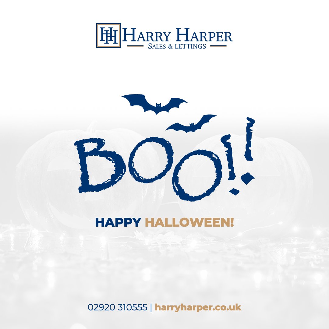 HarryHarper tweet media