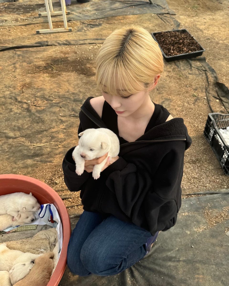 やっぱりえりちゃんと付き合ってた記憶しかなくて心臓もたない