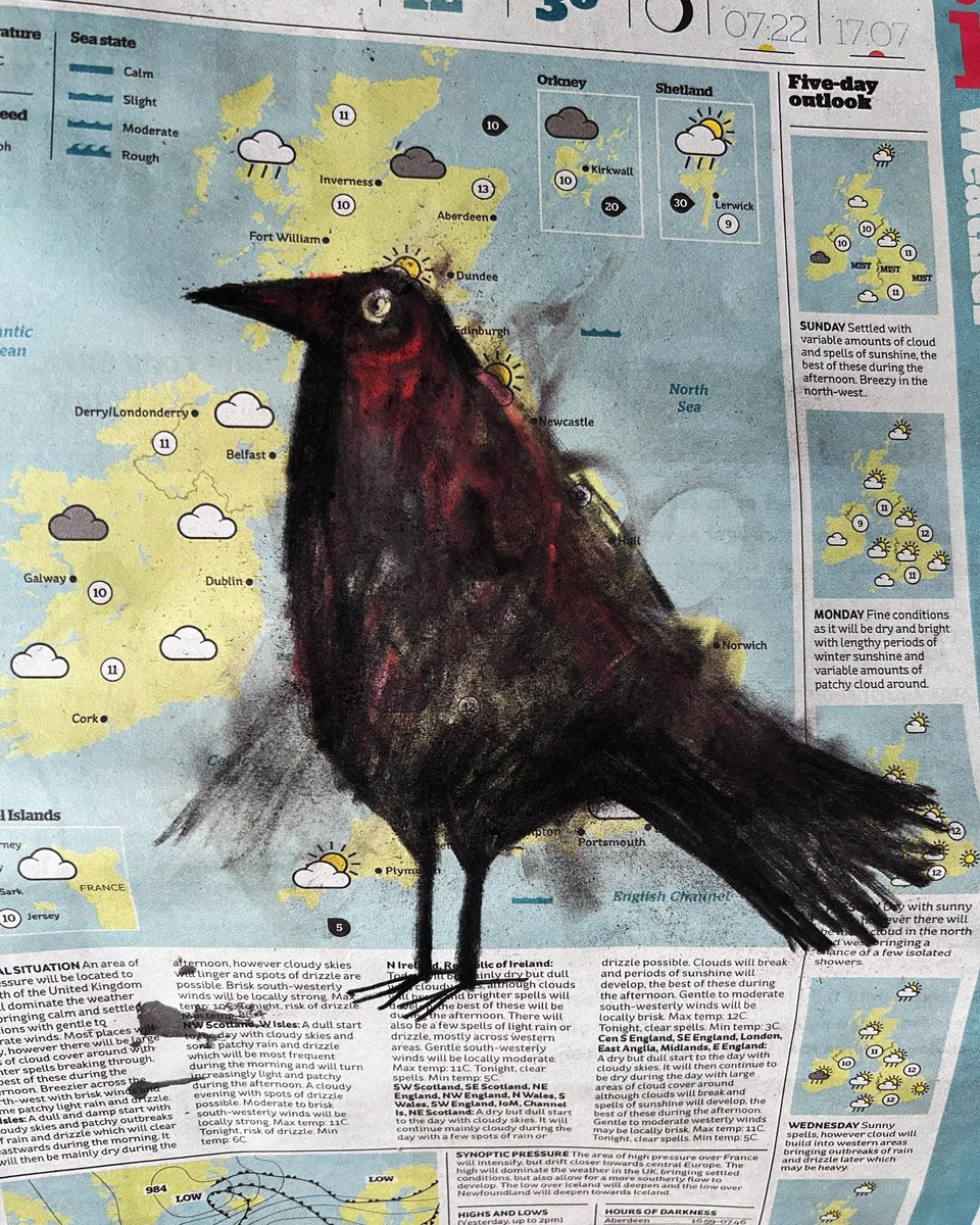 AkashBhatt72's tweet image. 31-10-24 Bird contemplating migration 
#migrate #getouttahere #leave #startover