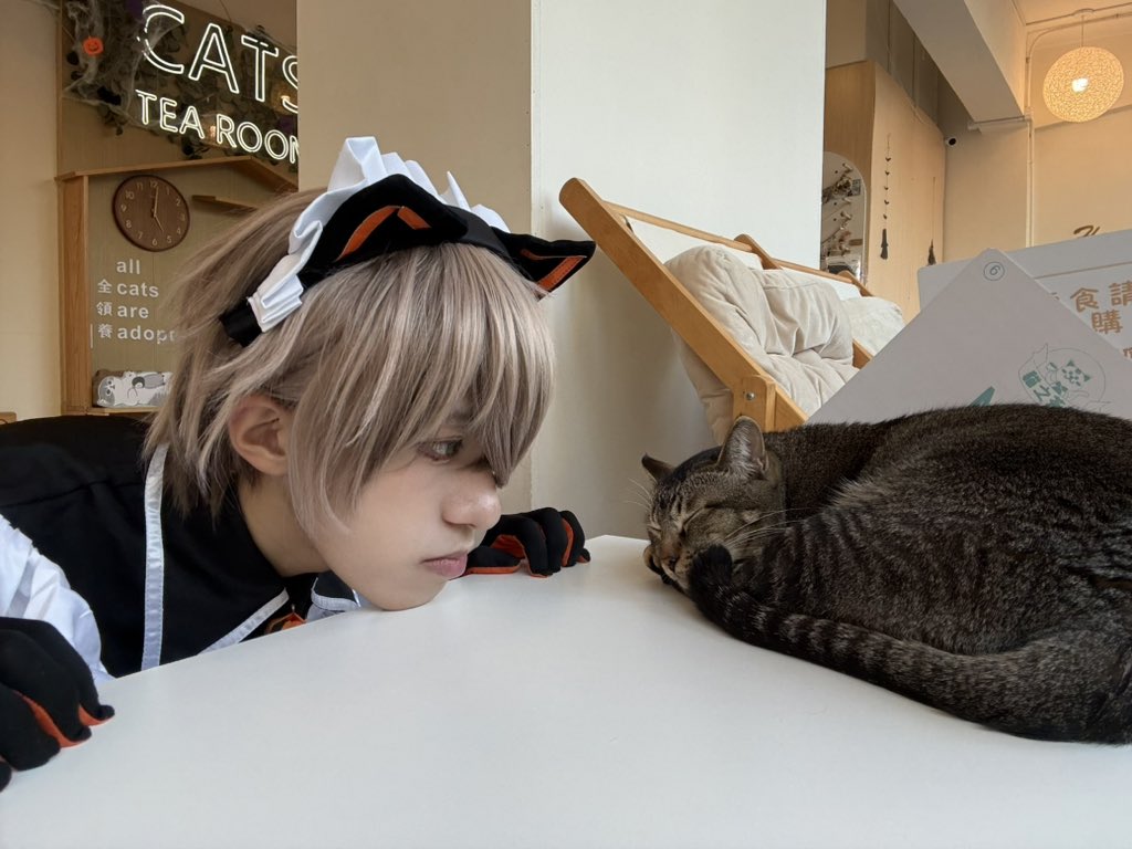 KWTom3's tweet photo. Cat, two cats

#AlbanKnox #AlbanKnoxCosplay #AlbanKnoxArt #Cosplay https://t.co/ftSTIhjwmk