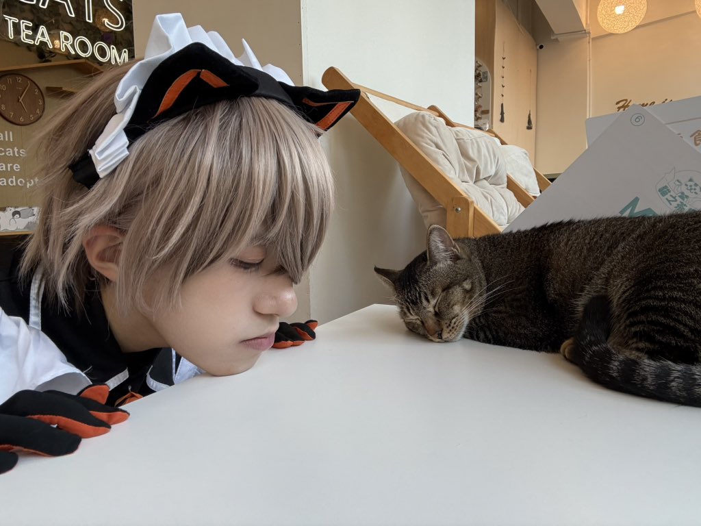 KWTom3's tweet photo. Cat, two cats

#AlbanKnox #AlbanKnoxCosplay #AlbanKnoxArt #Cosplay https://t.co/ftSTIhjwmk