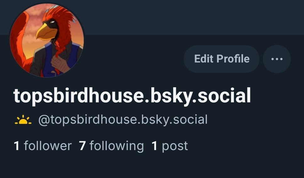Top's Birdhouse tweet media