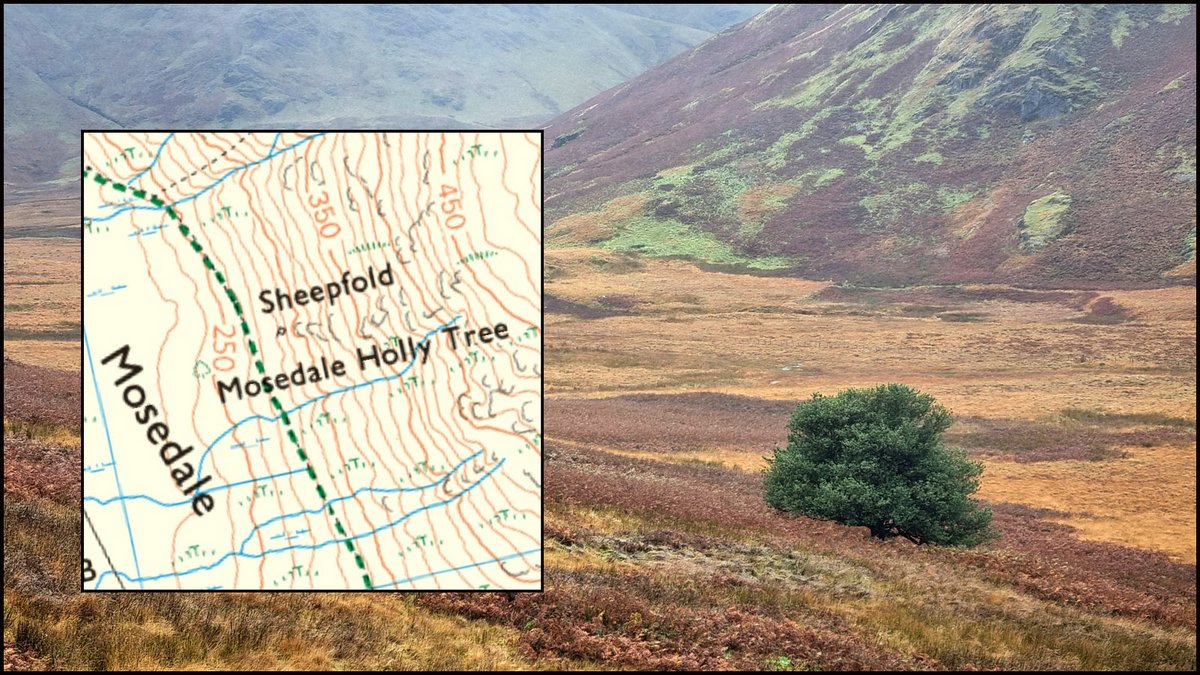 Alan Cleaver tweet media