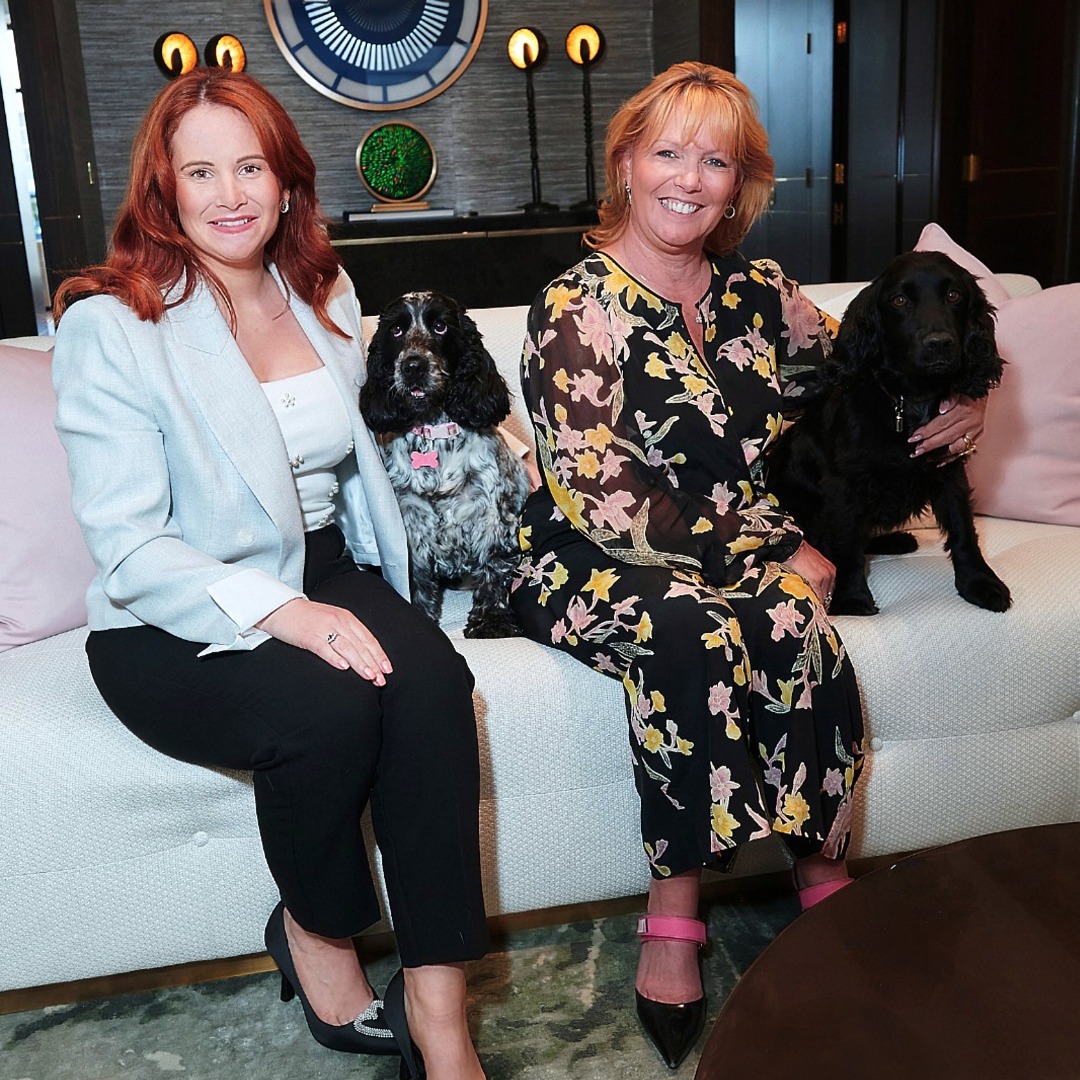 Somerset Estates tweet media