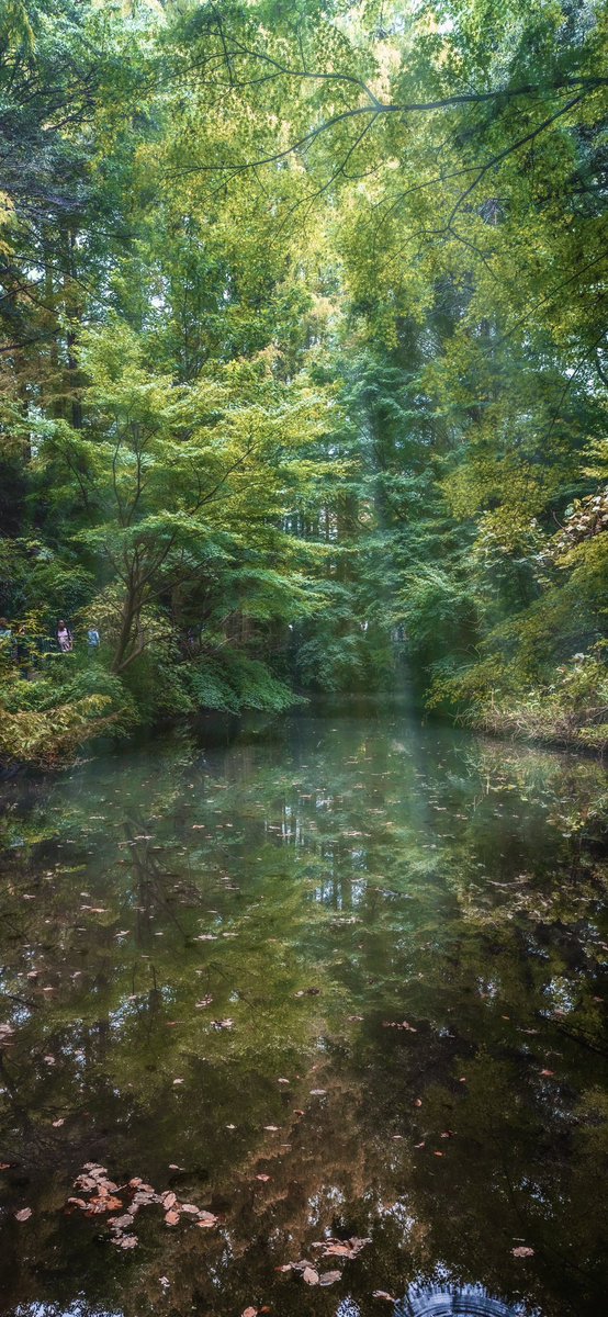 今月は蝶よりも風景にシフトした1ヶ月でした！

#10月を写真4枚で振り返る #photography #NaturePhotography #landscapephotography #日本の絶景 #自然が好き