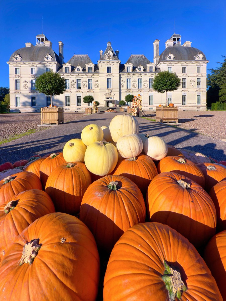 🎃 𝗖𝗜𝗧𝗥𝗢𝗨𝗜𝗟𝗟𝗘𝗦 𝗘𝗡 𝗙𝗘̂𝗧𝗘 ❯ En ce jour, les celtes célébraient la fête de Samain 🎃. Elle correspondait au début de l’année et de la saison "sombre".

💡 L'année celtique comprenait 2 périodes : la saison claire 🌝 &amp; la saison sombre 🌚

🌐 bit.ly/AutomneAChever…