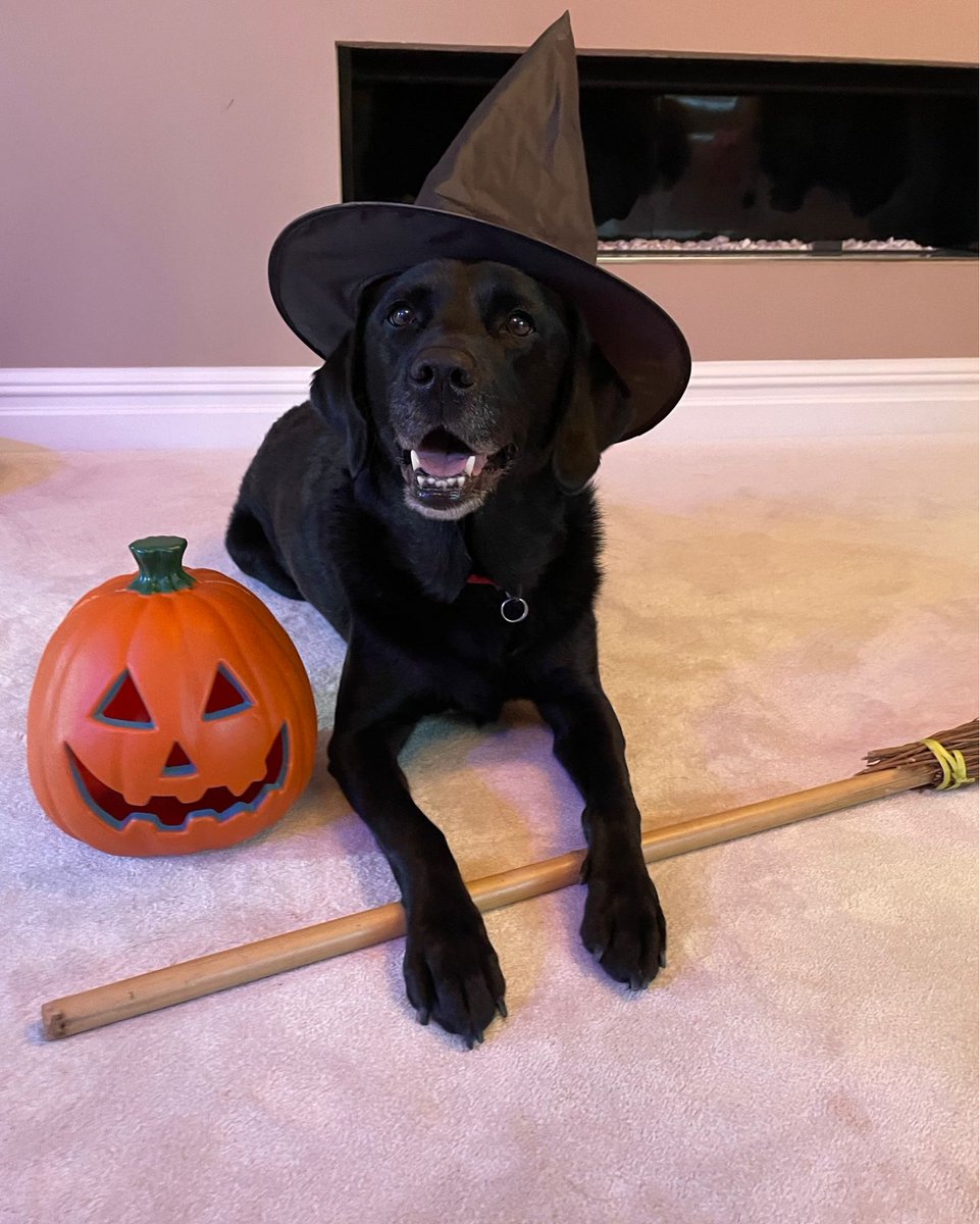 Happy Halloween from us to you. We hope you all have a spook-tacular day! 🎃👻🧙🏻
#HappyHalloween #HappyHalloween2024 #Halloween