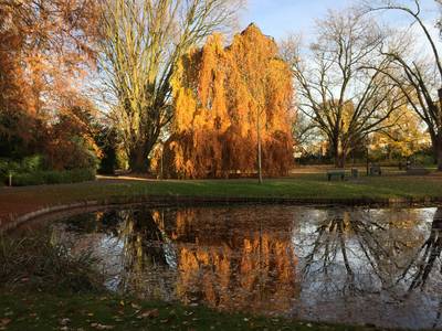 Ik houd van de herfst, ook al zijn er veel mensen die lijken te denken dat God een vergissing heeft gemaakt dlvr.it/TFvyyg