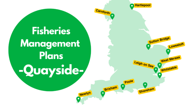 CCRI_UK's tweet photo. A number of consultation events are taking place across England where stakeholders can comment on a range of #FMPs 

Cockle FMP
North Sea and Channel sprat FMP
Southern North Sea and Channel skates and rays FMP
Southern North Sea demersal non-quota FMP
https://t.co/CEAPM7Hxnh https://t.co/b6NByUrrGp