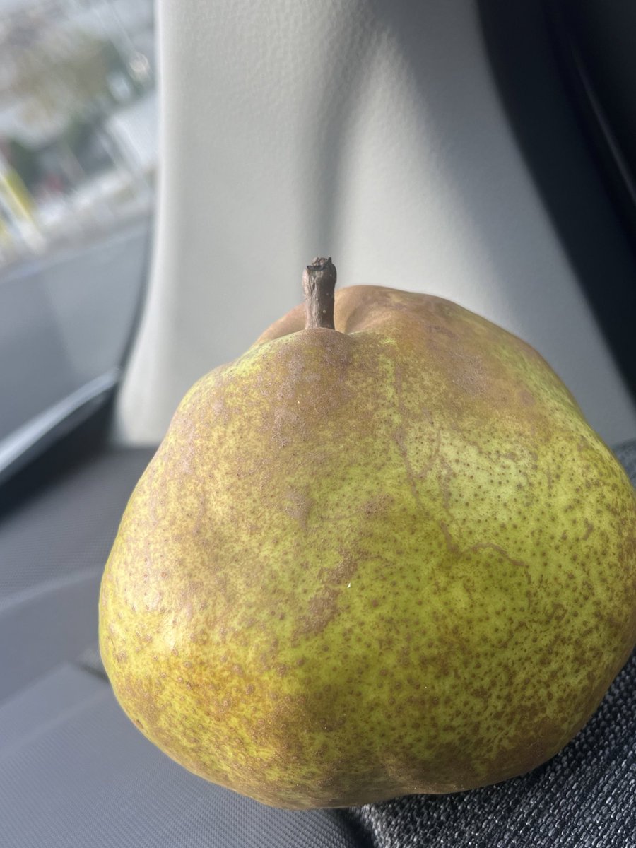smakobon's tweet photo. 古物商許可申請のご相談をいただきました。未経験の業務でしたので、関係法令を一読し手続きの流れを頭に入れて臨みました。実務経験がないのでほぼネットの情報ですが、良い経験となりました。こんな日は山形産のラフランスがよいですね。 https://t.co/Cmz1lYEk4S
