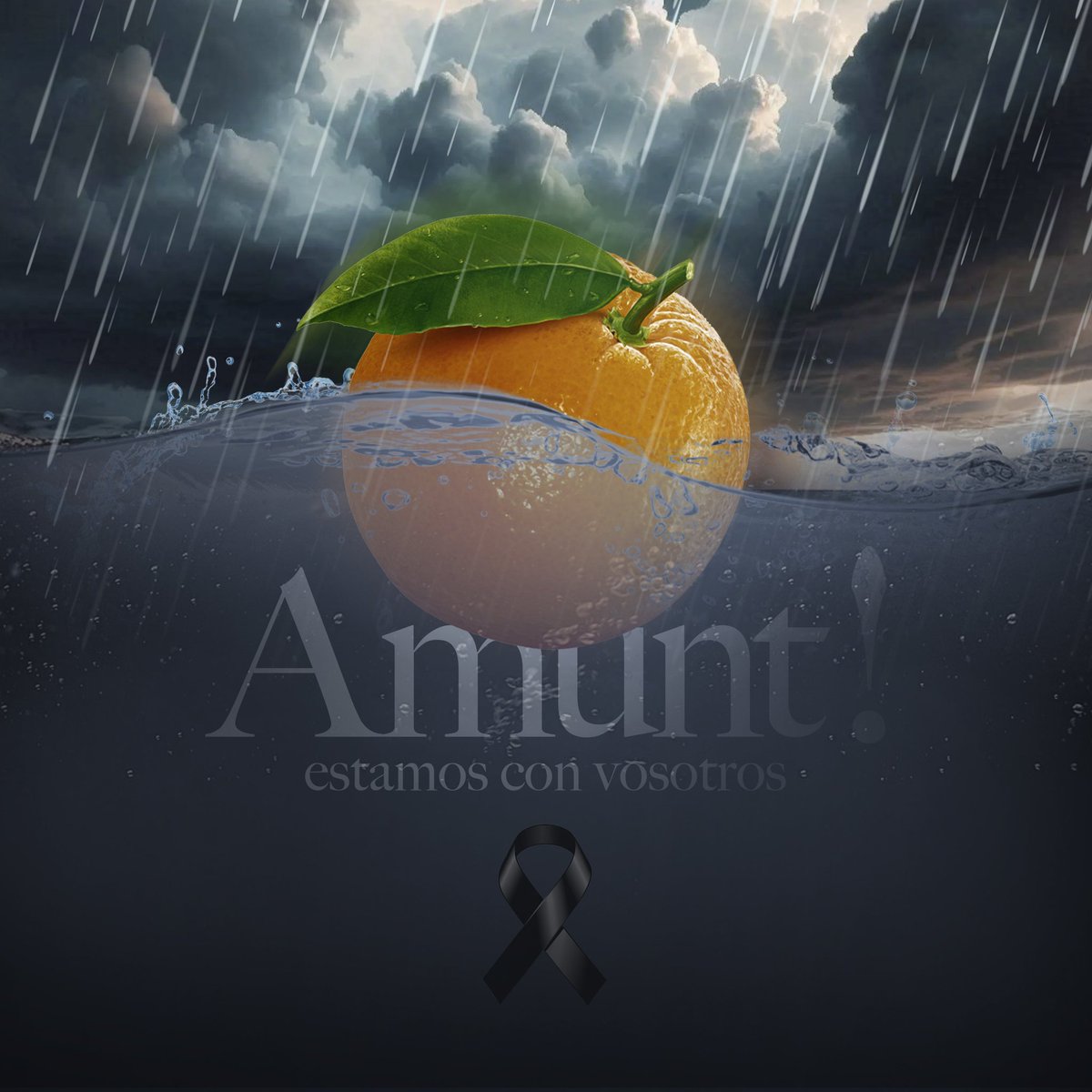 #amuntvalencia estamos con vosotros...