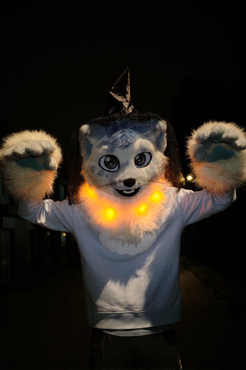 gibafur's tweet image. TRICK OR TREAT!!! 🎃👻🕷️

Kitty gets candy now right? 👉👈