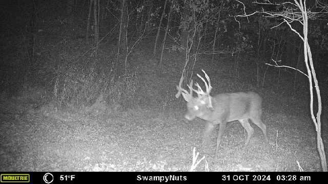 Well well well. What do we have here? Now THAT is an October surprise. Happy Halloween!!!