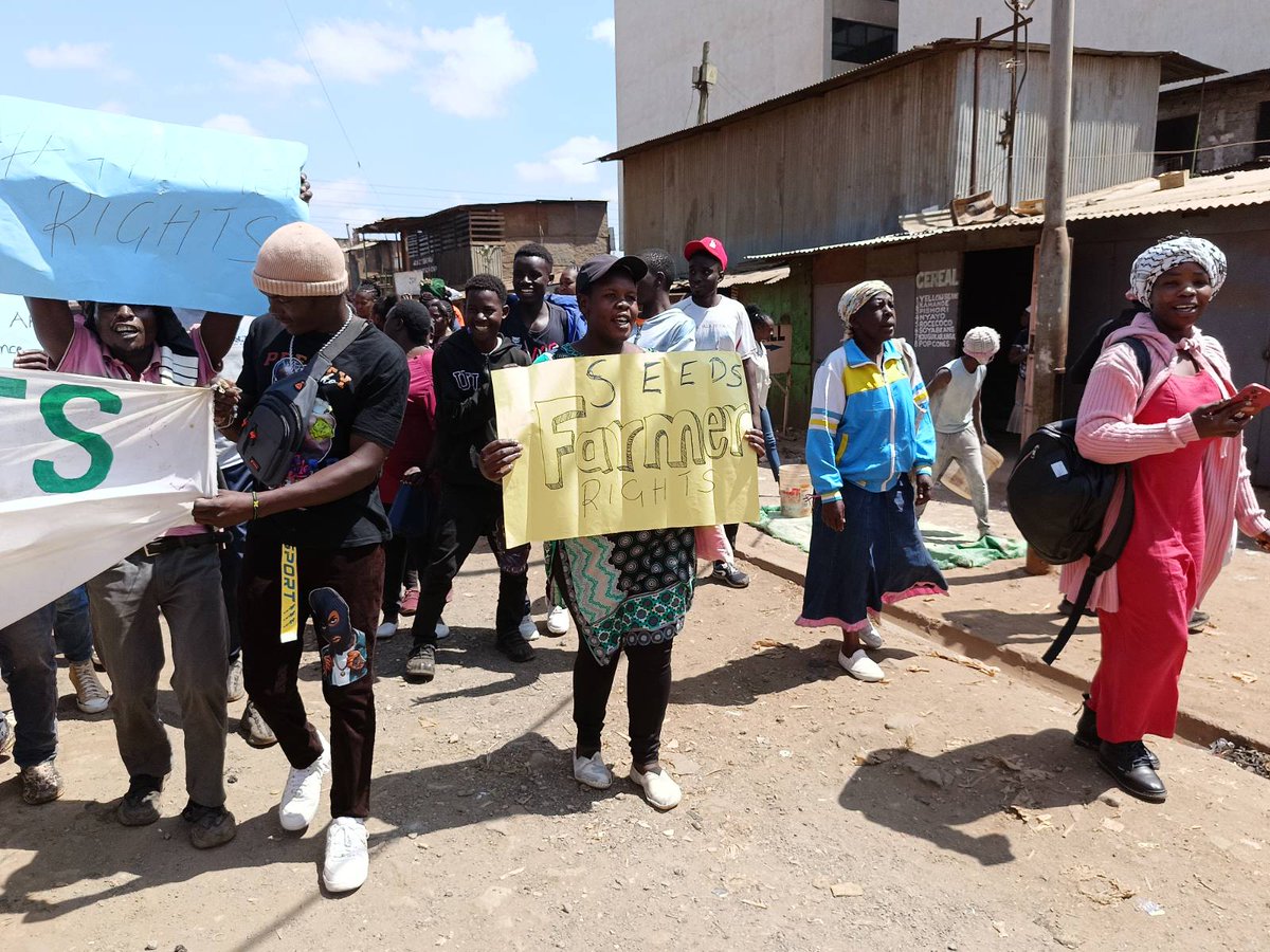 PeasantsLeague's tweet photo. Earlier today, our members marched in support of #FarmersSeeds & a call on government to #KeepTheBan in Kangemi, Nairobi ahead of #November7Ruling @1000currents @via_campesina @angela_aef @_Atamba @arendeoriri @MVIWATAFM @ESAFFUG @CefrohtUg @nothilfe @KPL_Women @FundAgroecology https://t.co/QP2mQ2sMc4