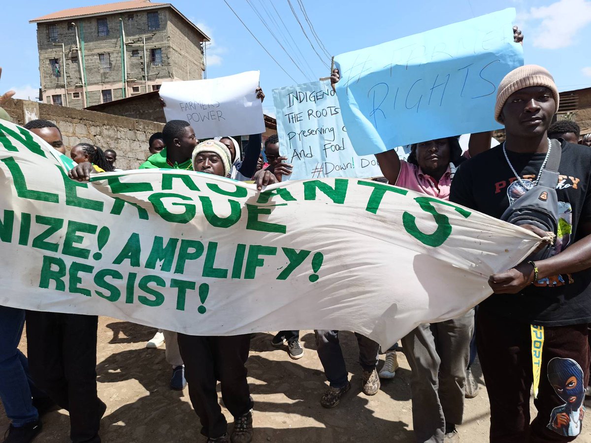 PeasantsLeague's tweet photo. Earlier today, our members marched in support of #FarmersSeeds & a call on government to #KeepTheBan in Kangemi, Nairobi ahead of #November7Ruling @1000currents @via_campesina @angela_aef @_Atamba @arendeoriri @MVIWATAFM @ESAFFUG @CefrohtUg @nothilfe @KPL_Women @FundAgroecology https://t.co/QP2mQ2sMc4