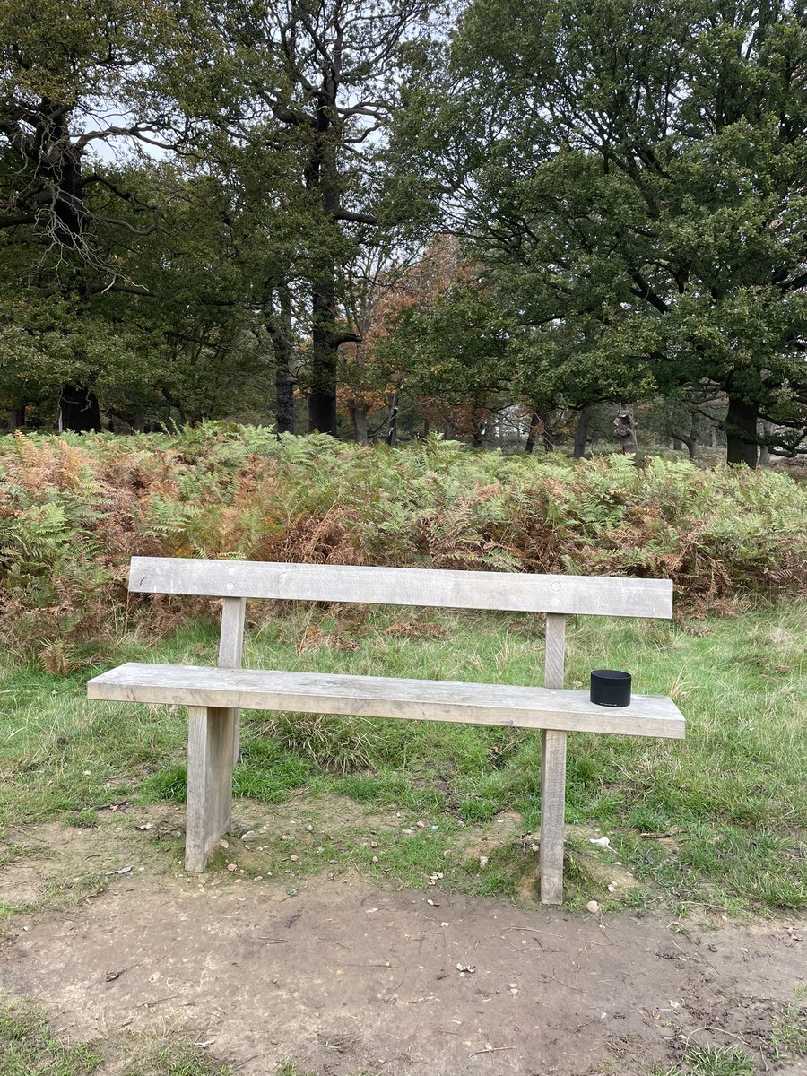 Lost your Sigma 150-600mm lens hood in Richmond Park? It’s here… maps.app.goo.gl/8nfYLFDXEQTNzk… <a href="/theroyalparks/">The Royal Parks</a>