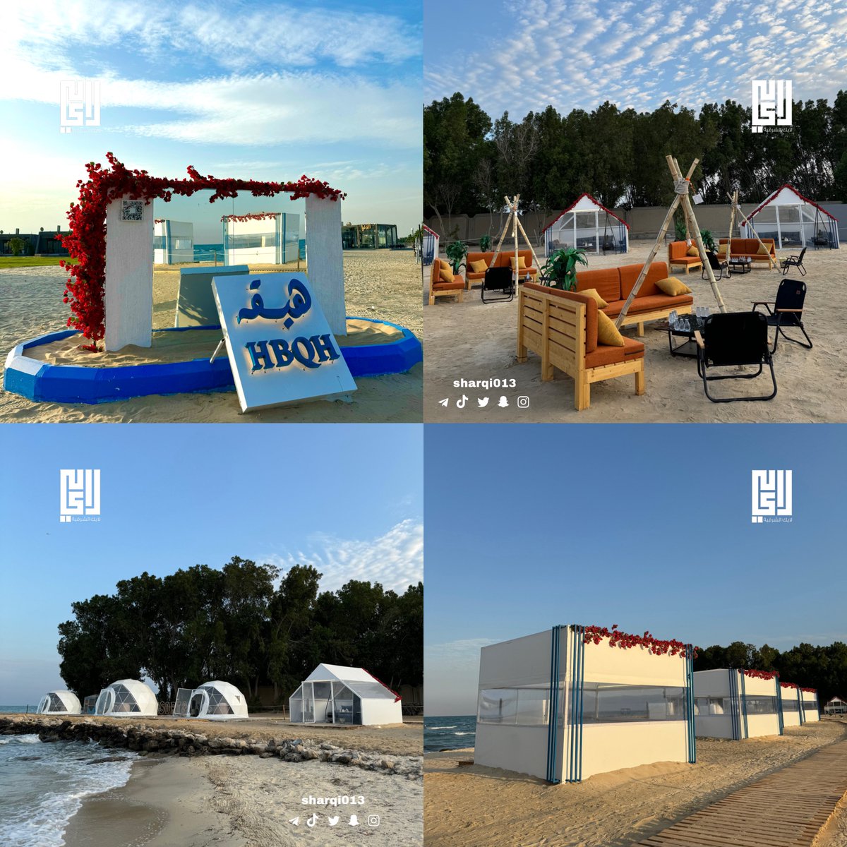 لايك الشرقية tweet media