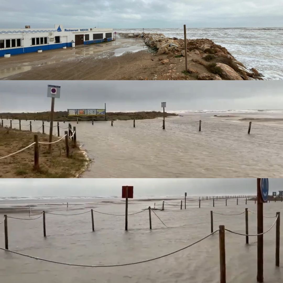 sommolde tweet media