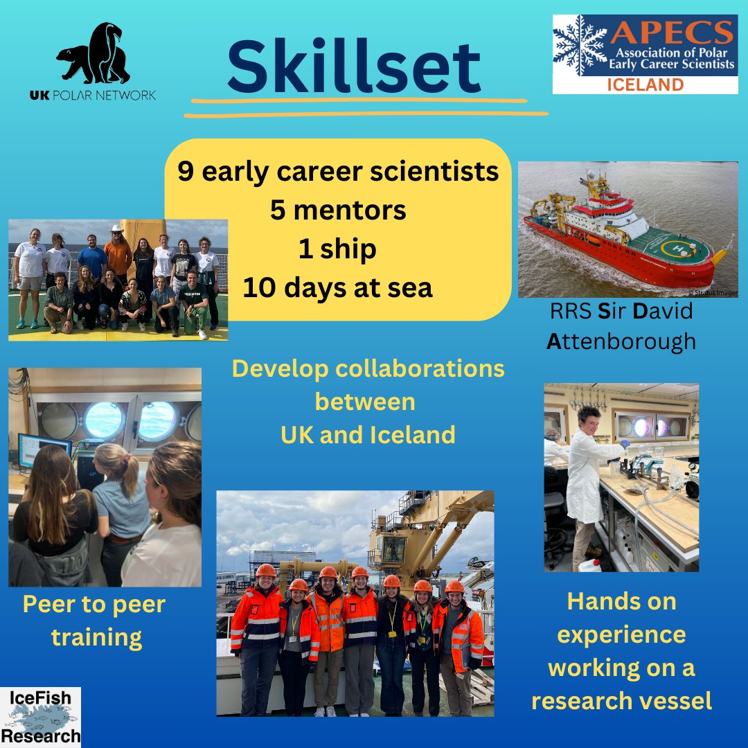 IceFish Research tweet media