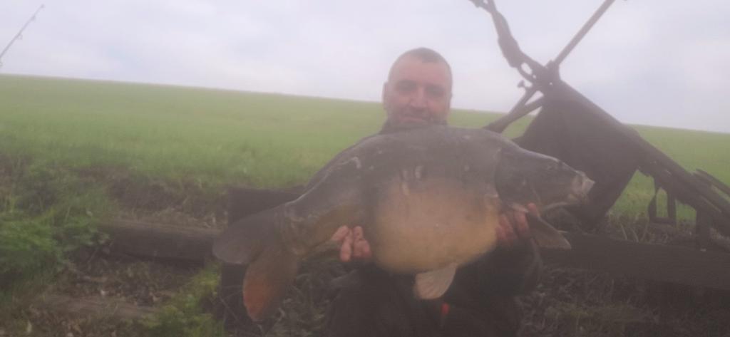 paul davis tweet media