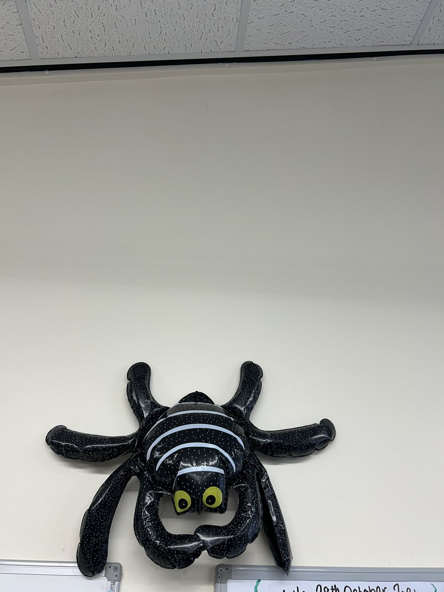 ANGI BELL RN, DN, BSc, QN (@angoliviasmummy) on Twitter photo Spooky goings on in the Worksop and Villages Office this morning. Thankyou to Rach and Stacy for doing this for the team it was a fab surprise I didnโt like the spider on my desk though ๐. <a href="/Worksopnurses/">Worksop & Villages Community Nursing Team Notts HC</a> <a href="/NottsHealthcare/">Nottinghamshire Healthcare</a> <a href="/TowneClaire/">claire towne RN, DN, BSc, Queens Nurse๐</a> Spooky goings on in the Worksop and Villages Office this morning. Thankyou to Rach and Stacy for doing this for the team it was a fab surprise I didnโt like the spider on my desk though ๐. <a href="/Worksopnurses/">Worksop & Villages Community Nursing Team Notts HC</a> <a href="/NottsHealthcare/">Nottinghamshire Healthcare</a> <a href="/TowneClaire/">claire towne RN, DN, BSc, Queens Nurse๐</a>