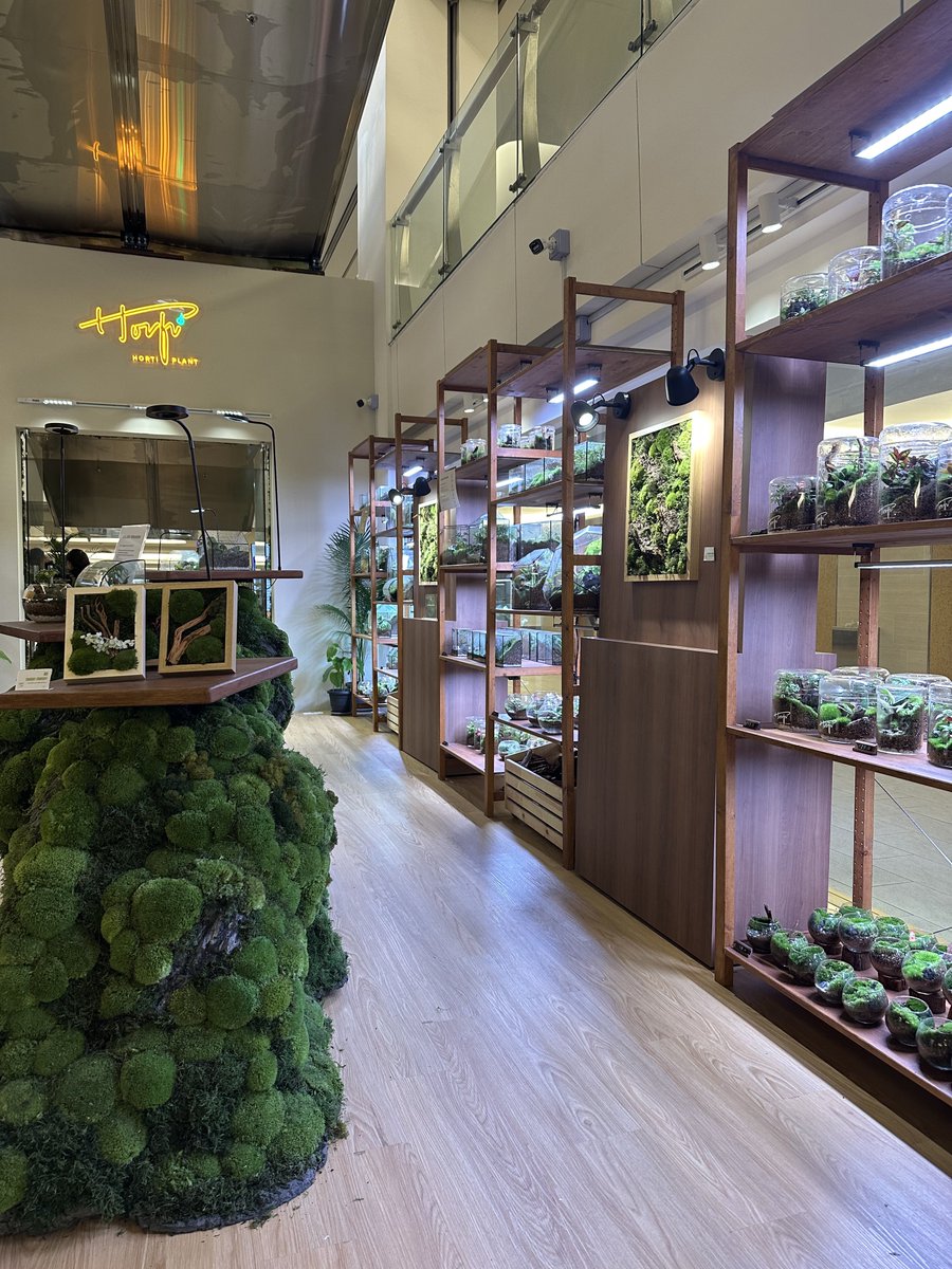 Datang mall sebab nak check mata. Lepas habis, anak request nak buat terrarium. Hobi baru dia. Kita support selagi benda berfaedah.

Mana tahu, esok lusa boleh jadi biz owner?

Tak perlu beli, enrol terrarium workshop je. Harga bermula RM 89. Kami ambil RM 189. Besar sikit.