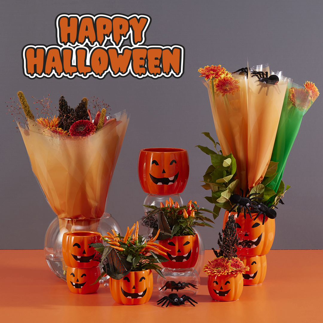 Happy Halloween 🕷 from all of us <a href="/koenpack/">KoenPack</a> 🎃

koenpack.com/en-gb/products…

#halloween
#specialpicks
#spiders
#pumpkins
#ceramics
#flowersleeves
#koenpack