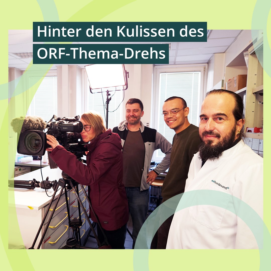 Ewigkeitschemikalie #TFA im Trinkwasser - zu diesem Thema drehte der ORF kürzlich einen Beitrag und interviewte Humantoxikologin Maria Uhl . Hier ein kleiner Blick hinter die Kulissen des Drehs.
FAQs zu TFA bzw. der Stoffgruppe PFAS hier 👉umweltbundesamt.at/umweltthemen/s…