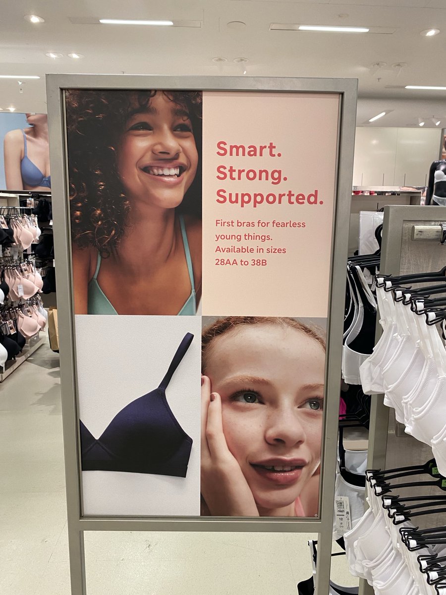 Mariesaurus XX tweet media