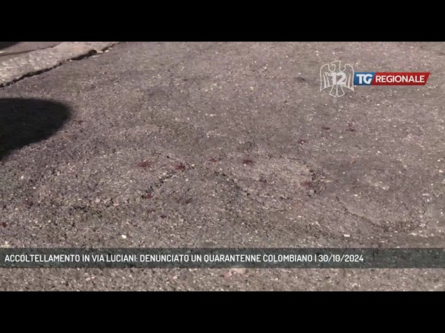 TRIESTE | ACCOLTELLAMENTO IN VIA LUCIANI: DENUNCIATO UN QUARANTENNE COLOMBIANO
tv12.medianordest.it/14999/trieste-…