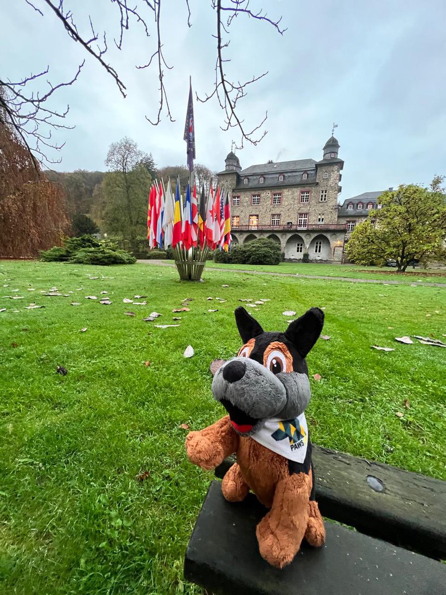 Early morning question for you all; #wheresbob ? 

Want to join in the game? Get your very own Bob here PawsUp.org.uk/shop