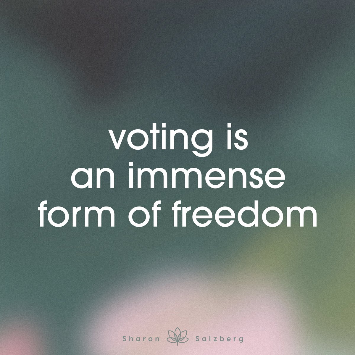 SharonSalzberg's tweet photo. We're almost to election day here in the states. Do you have your voting plan? 

Check out Sharon's Election Resources for think pieces, podcasts, meditations, memes and more! https://t.co/KBga6VMEvO https://t.co/WtLHDIuA6y