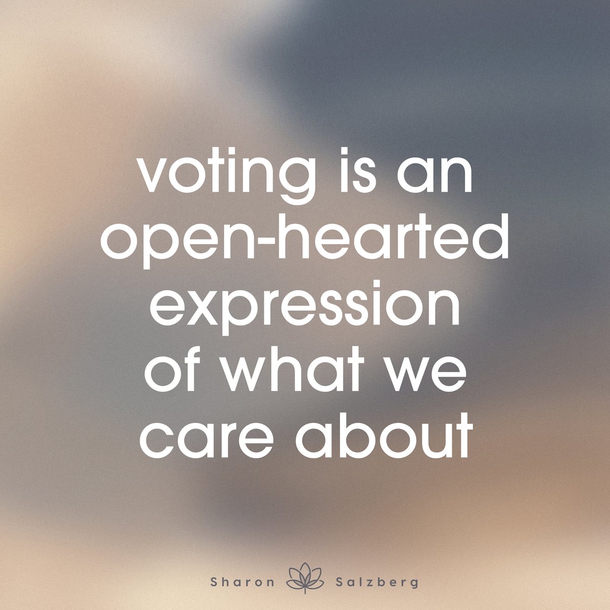 SharonSalzberg's tweet photo. We're almost to election day here in the states. Do you have your voting plan? 

Check out Sharon's Election Resources for think pieces, podcasts, meditations, memes and more! https://t.co/KBga6VMEvO https://t.co/WtLHDIuA6y