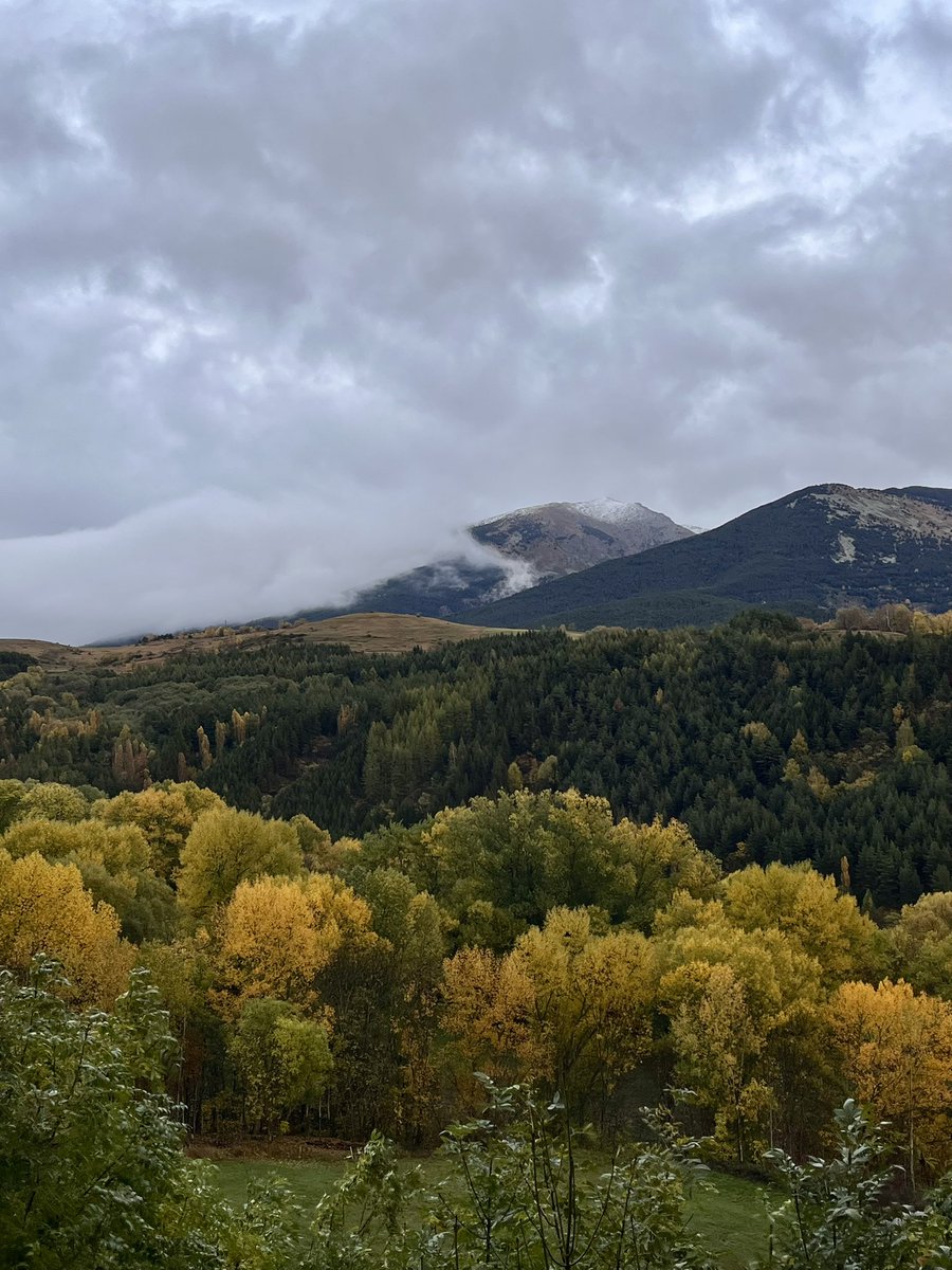 MurilloGonzal's tweet photo. Un poco de rando y otoño 🤎🏔️🍂 https://t.co/qhZ9ljTdIO