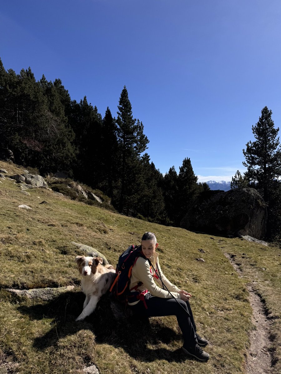 MurilloGonzal's tweet photo. Un poco de rando y otoño 🤎🏔️🍂 https://t.co/qhZ9ljTdIO