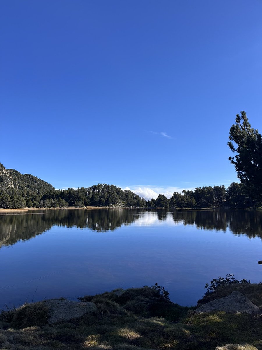MurilloGonzal's tweet photo. Un poco de rando y otoño 🤎🏔️🍂 https://t.co/qhZ9ljTdIO