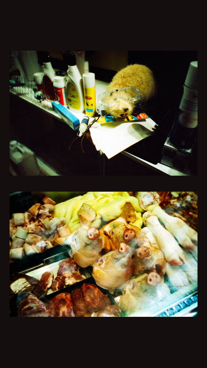 31. Spooky 👻

Et c'est fini !
#31themesAnalogChallenge